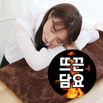usb 온열 전기 담요 차량용 전기 담요 차박용 전기이불, 브라운, 상품선택
