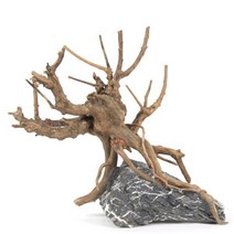 수이사쿠 세틀 프리미엄 초야우드 선인장 유목 L 20cm 바보사랑