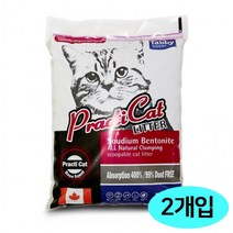 테비 캐나다 프락티캣 10L x 2개입 장미향, 상세페이지 참조