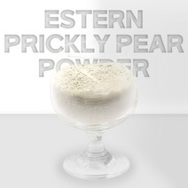 더건강한 샵 국내산 제주도 천년초 분말 가루 손바닥 선인장, 300g, 2팩