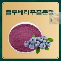 블루베리추출분말 50g 샘플, 본상품선택, 본상품선택