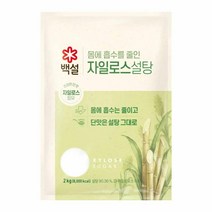 CJ 식자재 단짠단짠 백설 하얀 자일로스 설탕 2kg 요리레시피, 24개