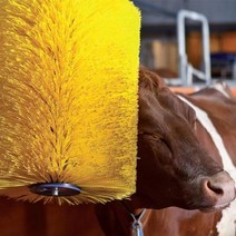 축산 기자재 카우브러쉬 소 등긁개 등긁는 기계 한우 자동 축사 가려움증 털정리 빗질 바디, 100cm x 50cm 브러시 헤드