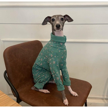 그레이하운드 블루밍 올인원, 머스타드