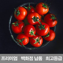 상세설명참조 영화청과 국내산 방울토마토 4kg 프리미엄 백화점 납품 생 즙 주스, 1개