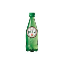 트레비자몽 300ML X 20병