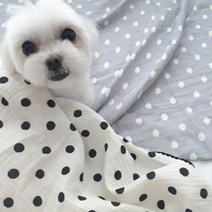 루펫 반려동물 강아지이불 고양이담요 이중지 땡땡이 도트 블랭킷