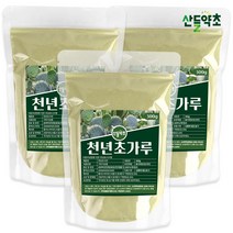 국내산 제주산 천년초 가루 300g 손바닥선인장 선인장줄기 선인장잎 선인장가루 천년초가루 천년초분말 선인장분말가루 손바닥선인장분말, 제주산 천년초가루 300gx3팩