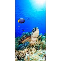 오션 스타일 돌고래 빅 사이즈 샤워 타올 빠른 건조 3D 프린팅 비치 의자 담요 타월 수영 욕실, 5_70x140cm