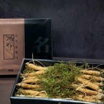 국내산 수삼 인삼 6년근 생삼 생인삼 300g 10~13뿌리 강원도 자연산 인삼튀김 인삼주 담그는법 효능 삼계탕 토종 산지직송 부모님 건강 선물세트 추천, 3세트, 300g 10-13뿌리