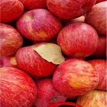 GAP인증/꿀부사 (가정용사과&가슴앓이)/당도보장/14브릭스이상, 가슴앓이/중10kg/(40과이내), 10kg