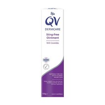 Ego 이고 큐브이 더마케어 스팅프리 오인먼트 100g QV Dermcare Stingfree Ointment, 1개