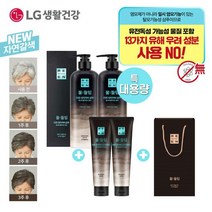 자연갈색/흑갈색LG 리엔 물들임 대용량 샴푸 550ml2개+트리트, 흑갈색