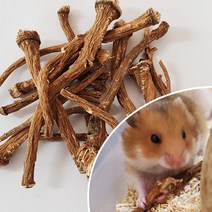 민들레 뿌리 20g 햄스터 국내산 이갈이 간식, 단품