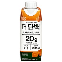 빙그레 더단백 드링크 카라멜, 9개입, 250ml