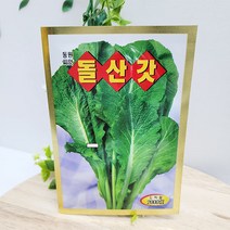 (샤인 몰) 동원씨앗/돌산갓 씨앗 2000립 1개 무료배송/비타민 A C 가 풍부하며 맛과 향이 우수한 품종