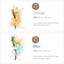 드라이플라워 인테리어 액자용 초미니 엽서카드, 1개, 1-1 Orange