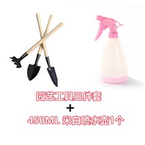 다기능 가정용 식물 분재 도구 3 개 세트 미니 원예 화분 도구 나무 손잡이 삽 레이크 삽, 3종세트 + 450ML 베이지색 물뿌리개개