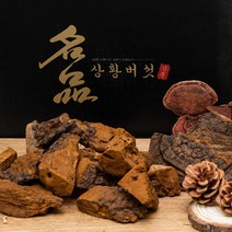 상황버섯 60년산 500g 캄보디아산 정품 자연산 상황버섯 절편 효도선물 고급포장, 1개