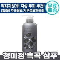 청미정 흑곡 샴푸 500ml 극 지성 지루성 두피 염 검정콩 보리씨 추출물 냄새 잡는 천연 사춘기 건조 모발 환절기 머리카락 자연 유래 임산부 아기 샴프 삼푸 프리미엄 기능성 정품, 1개입