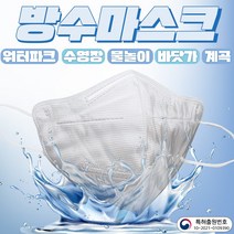 [무료배송]워터랩마스크 5매입 새부리형 2D 일회용방수마스크 물놀이마스크 워터파크마스크 사우나마스크 목욕탕마스크 수영장마스크, 외장형/옵션1.패밀리세트-화이트