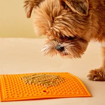 딜리스푸치 푸치리크 사각 라지 패드 강아지 노즈워크 매트