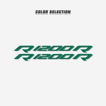 뉴오토바이 반사 연료 바퀴 페어링 휴대용 수하물 헬멧 스티커 기호 장식 데칼 BMW R1200R, 04 Reflective Green