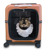 레투 펫넬 중형견 중형묘 강아지 바퀴분리 캐리어 이동장 가방 고양이 이동가방, 로즈골드