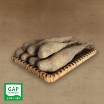 태나농장 우수농작물 마 산마 참마 산약 생마 햇마 3kg 5kg, 산마 상품 3kg, 1개