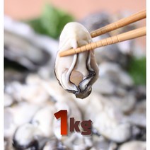 슬기로운 구매생활!~ 영양 만점 통영생굴 1KG