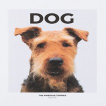 (주)월드메거진 Dog Magazine Uk 1년 정기구독1년 정기구독(관련 과월호 1권 랜덤 증정)