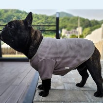 프렌치불독옷 프불옷 중형견 강아지 xl 2xl 3xl 옷, 핑크