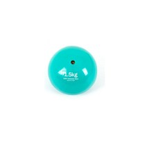 아이워너 필라테스 웨이트볼 10cm 2컬러 아령대용 메디신볼 토닝볼, 민트(1.5kg), 1개