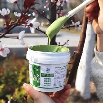 식물 영양제 나무 상처 도포제 연고 과수 비료 분재, 센유 500g 치유 에이전트 브라운+브러시