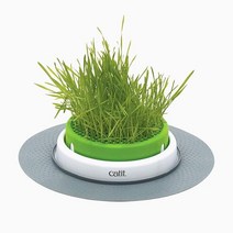 Catit Senses 2.0 캣그라스 화분 인터랙티브 고양이, Cat Grass Planter