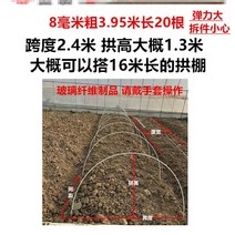 비닐하우스시공 가정용 소형 비닐 하우스 설치 온실 작은 꽃막걸이 보온양식 방한유리 스틸 유리섬유봉 보온막 겨울 야외난방, 24 8밀리미터 굵기3.95m 길이20뿌리 경간2.5-