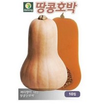 다농 땅콩호박씨앗 호박씨앗 10p, 11개