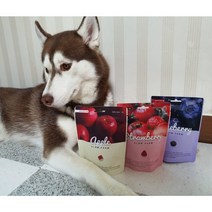 강아지 동결건조 과일 간식 트릿 딸기 사과 블루베리 슬로우팜 고양이 겸용
