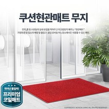 회사 엘리베이터 승강기 입구 매트 출입구발판, 1개, 매트 무지 적색 대