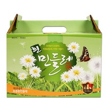 국내산 흰민들레즙 100ml X 60포 추출물 진액 하얀민들레