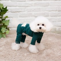 [펫디자인] 싱글스판올인원 8colors 강아지옷추천 강아지올인원, 그린