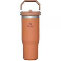Stanley IceFlow™ 플립 빨대 텀블러 887.2ml(30온스) 수영장 소용돌이491997, Ochre_30oz