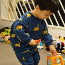 겨울 유아 아동 기모 공룡 맨투맨 상하세트 남아 여아 공용