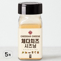 바른미각 체다치즈 시즈닝, 5개, 70g