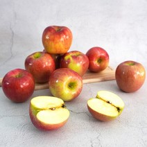 [더조은] 아리수 사과 가정용 5kg 22-24과, 없음