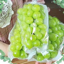 고당도 샤인머스켓 2kg내외 3수 4수 1.2kg내외 크기랜덤, 2. 고당도 샤인머스켓 2kg내외 4수