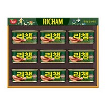 동원선물세트 리챔6호