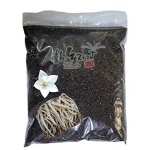 백도라지씨앗 50g/100g/200g/500g/600g/1kg/국내산 백도라지 종자, 200g