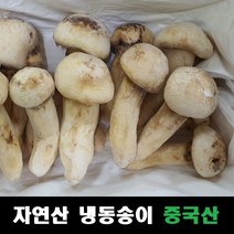 송이버섯 자연산 냉동 중국산, 2등급 1kg, 1개