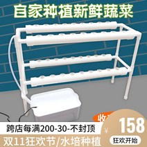 무토 재배 파이프라인 야채 수경 딸기 재배기 랙